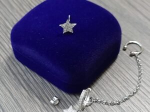 сребърни обеци звезда